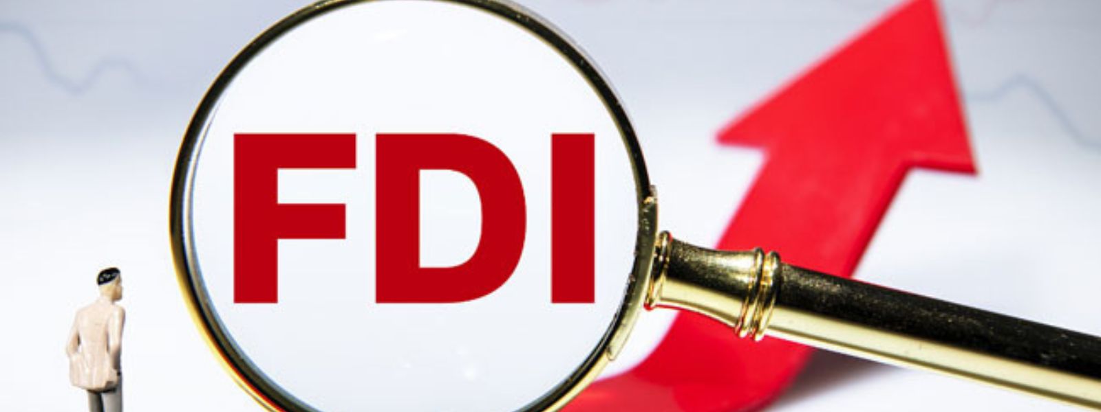 Sri Lanka Must Sustain Reforms to Attract FDIs